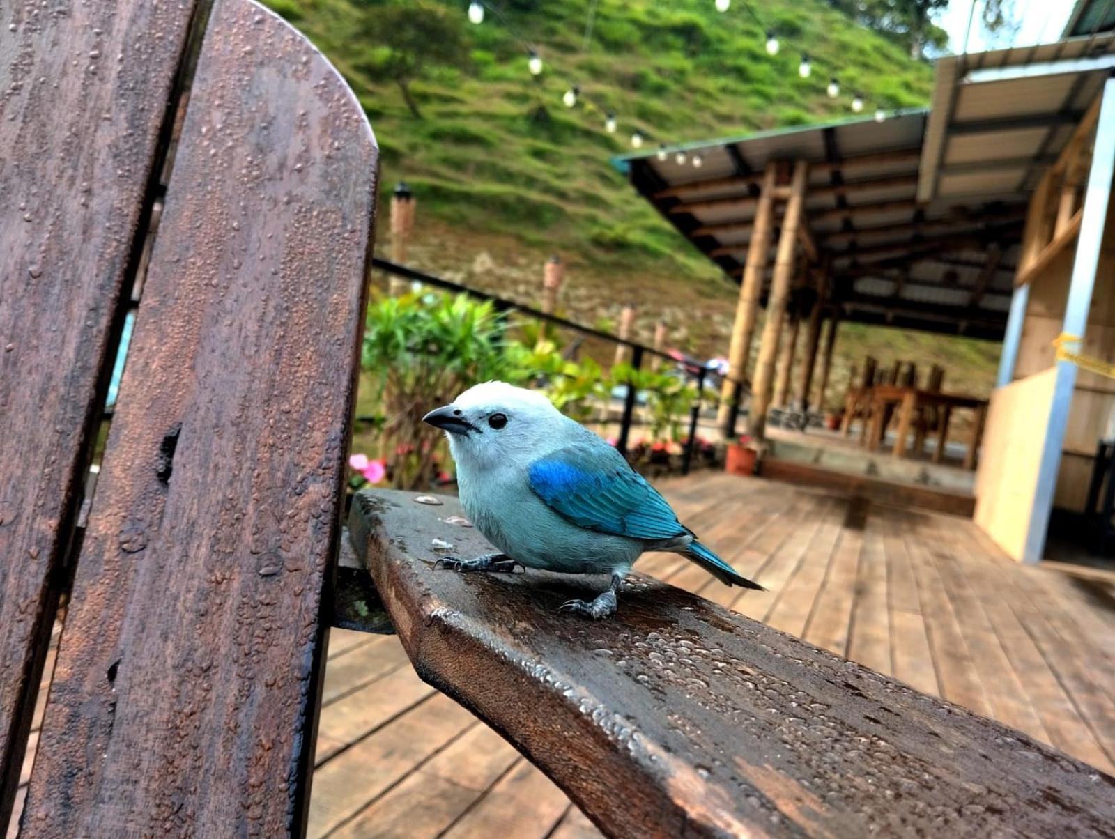 Hotel Rivel - Restaurant & Nature Retreat Τουριάλμπα Εξωτερικό φωτογραφία